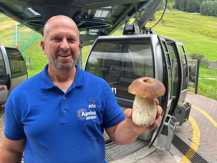Anche quest’anno la ricerca di funghi in Aprica regala grandi soddisfazioni!